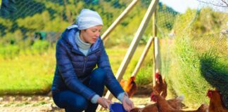 SE SOLICITA OPERARIO DE GRANJA TEMPORAL PARA CUIDADO DE ANIMALES