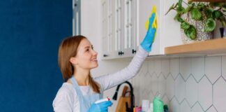 SE REQUIERE EMPLEADA DEL HOGAR 2 DÍAS POR SEMANA EN TURNO MAÑANA (3 HORAS)