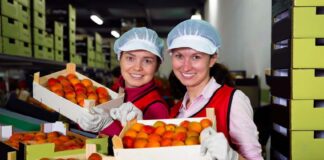 SE REQUIERE OPERARIO DE ENVASADO CON O SIN EXPERIENCIA PARA ETIQUETADO DE FRUTAS Y VERDURAS