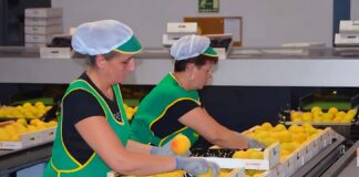 SE REQUIERE PREPARADOR/A DE PEDIDOS PARA REGISTRO DE FRUTAS Y VERDURAS