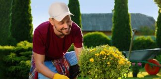 SE REQUIERE JARDINERO PARA MANTENIMIENTO DE ZONAS VERDES, JORNADA COMPLETA
