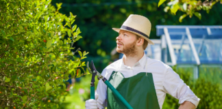 SE REQUIERE JARDINERO PARA MANTENIMIENTO DE PLANTAS (CON O SIN EXPERIENCIA)