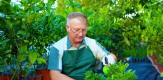 SE SOLICITA JARDINERO PARA CORTE DE CÉSPED Y ZONAS VERDES, NO SE REQUIERE EXPERIENCIA