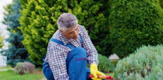 SE REQUIERE JARDINERO CON O SIN EXPERIENCIA PARA MANTENIMIENTO DE ARBUSTOS Y FLORES