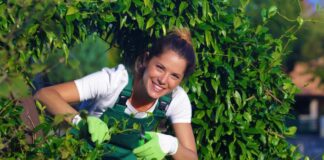 SE REQUIERE JARDINERO CON O SIN EXPERIENCIA PARA MANTENIMIENTO DE PLANTAS