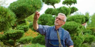 SE REQUIERE JARDINERO CON O SIN EXPERIENCIA PARA MANTENIMIENTO DE ÁREAS VERDES (MEDIO TIEMPO)