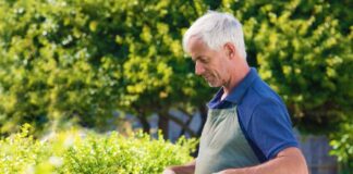 SE SOLICITA JARDINERO HOMBRE Y/O MUJER PARA RIEGO Y PODA DE CÉSPED