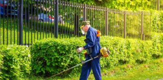 SE SOLICITA JARDINERO PARA MANTENIMIENTO Y PODA DE ÁRBOLES (CON O SIN EXPERIENCIA)