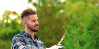 SE REQUIERE JARDINERO PARA MANTENIMIENTO DE FLORES Y ARBUSTOS (CON O SIN EXPERIENCIA)