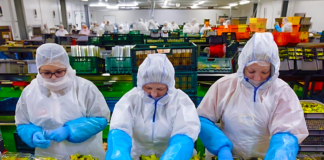 SE SOLICITA OPERARIO DE PRODUCCIÓN PARA ENVASADO DE ALIMENTOS, TURNOS ROTATIVOS