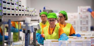 SE SOLICITA AYUDANTE DE PRODUCCIÓN PARA LABORES DE ENVASADO (LUNES Y VIERNES)