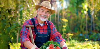 SE SOLICITA TRABAJADOR AGRÍCOLA PARA LABORES DE COSECHA, NO SE REQUIERE EXPERIENCIA