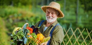 SE REQUIERE TRABAJADOR AGRÍCOLA PARA COSECHA DE TOMATES, PEPINOS Y HORTALIZAS (CON O SIN EXPERIENCIA)