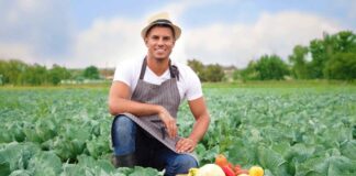 SE REQUIERE TRABAJADOR AGRÍCOLA PARA COSECHA DE VEGETALES (CON O SIN EXPERIENCIA)