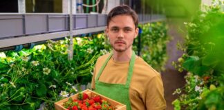 SE REQUIERE PEÓN AGRÍCOLA PARA RECOLECCIÓN DE VEGETALES (CON O SIN EXPERIENCIA)