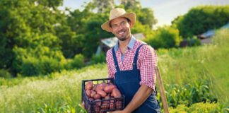 SE REQUIERE PEÓN AGRÍCOLA HOMBRE Y/O MUJER PARA LABORES GENERALES EN CAMPO