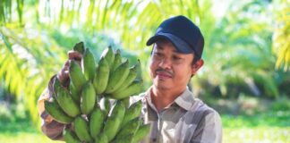SE REQUIERE PEÓN AGRÍCOLA 5 DÍAS A LA SEMANA PARA FINCA PLATANERA