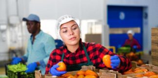 SE REQUIERE AYUDANTE DE BODEGA PARA CONTROL DE CALIDAD DE PRODUCTOS, TIEMPO COMPLETO