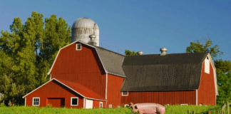 SE REQUIERE OPERARIOS DE GRANJA PARA CUIDADO DE ANIMALES (CON O SIN EXPERIENCIA)