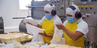 SE SOLICITA EMPACADOR PARA ENVASADO Y CONTROL DE CALIDAD DE QUESOS, NO SE REQUIERE EXPERIENCIA
