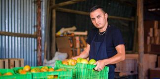SE SOLICITA MOZO/A DE ALMACÉN PARA PREPARACIÓN DE MERCADERÍA, TIEMPO COMPLETO Y MEDIO TIEMPO