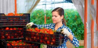 SE REQUIERE EMPACADOR PARA ENVASADO Y REGISTRO DE PRODUCTOS, TURNO DIURNO