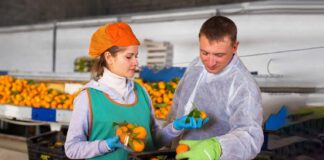 SE REQUIERE PERSONAL DE ALMACÉN PARA EMPAQUETADO DE NARANJAS