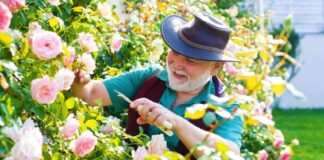 SE REQUIERE JARDINERO PARA RIEGO Y MANTENIMIENTO DE ÁREAS VERDES (CON O SIN EXPERIENCIA)