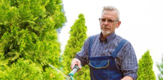 SE SOLICITA JARDINERO PARA CORTE DE CÉSPED, NO SE REQUIERE EXPERIENCIA
