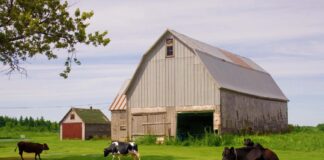 SE SOLICITA TRABAJADOR DE RANCHO PARA CUIDADO DE ANIMALES, NO SE REQUIERE EXPERIENCIA