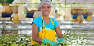 SE REQUIERE OPERARIO DE PRODUCCIÓN PARA PELADO DE FRUTAS Y VERDURAS