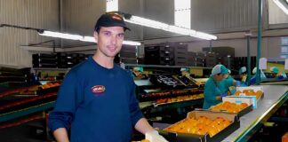 SE SOLICITA PEÓN DE PRODUCCIÓN PARA CONTROL Y ENVASADO DE FRUTAS (MEDIO TIEMPO)