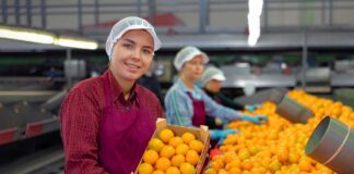 SE SOLICITA PERSONAL DE PRODUCCIÓN PARA ARMADO DE PEDIDOS
