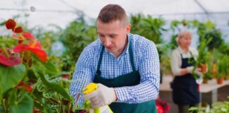 SE REQUIERE OPERARIO DE VIVERO DE TIEMPO COMPLETO (HOMBRE Y/O MUJER)