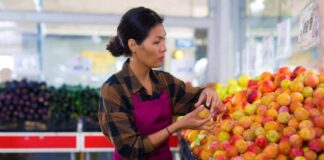 SE REQUIERE AUXILIAR DE PLANTA PARA ORGANIZACIÓN DE PRODUCTOS (CON O SIN EXPERIENCIA)