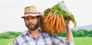 SE SOLICITA TRABAJADOR AGRÍCOLA CON MÍNIMA EXPERIENCIA PARA LABORES GENERALES EN COSECHA