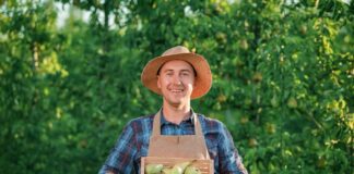 SE SOLICITA TRABAJADOR AGRÍCOLA PARA RECOLECCIÓN DE FRUTAS, NO SE REQUIERE EXPERIENCIA