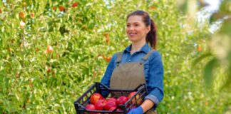 SE REQUIERE TRABAJADOR AGRÍCOLA PARA COSECHA DE PRODUCTOS (CON O SIN EXPERIENCIA)