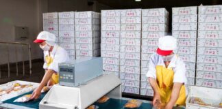 SE REQUIERE AYUDANTES DE PRODUCCIÓN PARA CONTROL DE CALIDAD DE PRODUCTOS, TURNOS ROTATIVOS