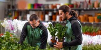 SE REQUIERE TRABAJADOR DE VIVERO PARA MANTENIMIENTO DE PLANTAS (POCA EXPERIENCIA)