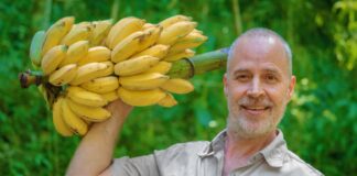 SE REQUIERE PEÓN/A AGRÍCOLA PARA RECOLECCIÓN DE PLATANOS EN FINCA