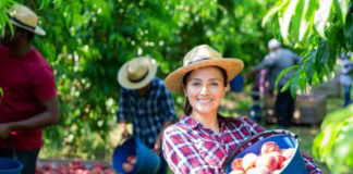 SE REQUIERE PEÓN AGRÍCOLA PARA MANTENIMIENTO Y CUIDADO DE PRODUCTOS EN COSECHA
