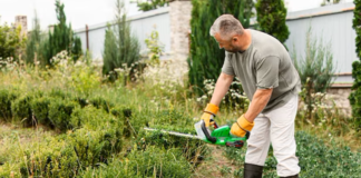 SE SOLICITA AUXILIAR DE JARDINERÍA PARA JORNADA PARCIAL (LUNES A VIERNES)
