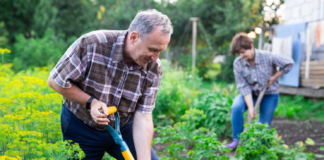 SE SOLICITA AUXILIAR DE JARDINERÍA PARA MANTENIMIENTO DE ÁREAS VERDES (LUNES A VIERNES)