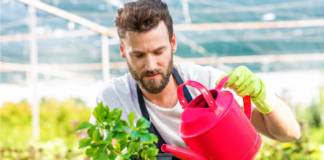 SE SOLICITA TRABAJADOR DE VIVERO CON MÍNIMA EXPERIENCIA PARA MANTENIMIENTO DE PLANTAS