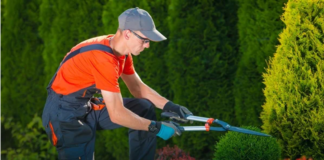 SE SOLICITA JARDINERO CON DISPONIBILIDAD LOS FINES DE SEMANA (TIEMPO COMPLETO)