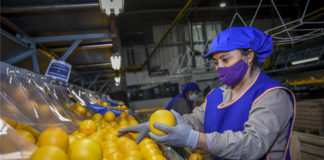 SE SOLICITA OPERARIO DE PRODUCCIÓN PARA CONTROL DE CALIDAD DE ALIMENTOS (TURNO ROTATIVO)