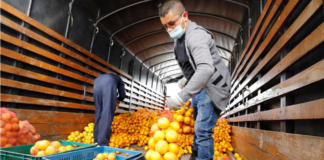 SE SOLICITA PERSONAL DE ALMACÉN PARA CARGA Y DESCARGA DE PRODUCTOS EN BODEGA DE CÍTRICOS