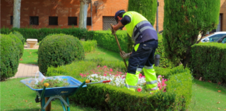 SE REQUIERE AYUDANTE DE JARDINERO PARA MANTENIMIENTO DE ÁREAS VERDES