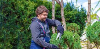 SE REQUIERE JARDINERO PARA MANTENIMIENTO DE ÁREAS VERDES, MEDIO TIEMPO